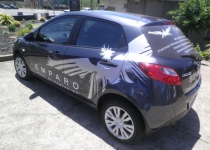 oneway_decal_ Emparo.JPG