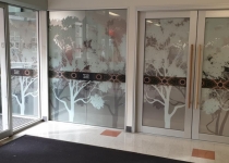 window graphics_UniSA-Wirringka 05