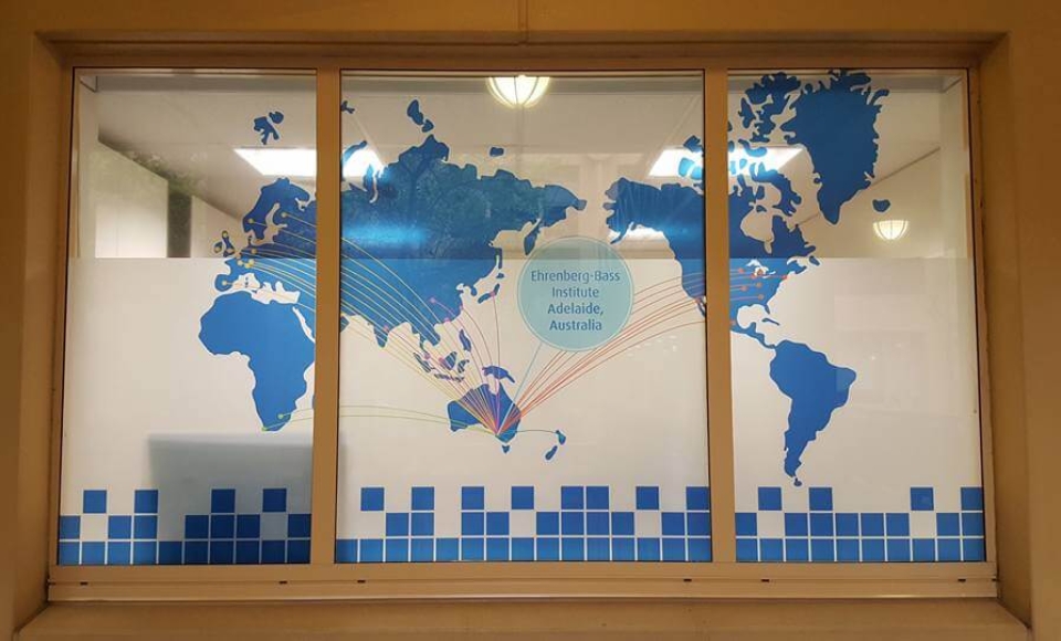 Uni SA Full Window Graphic