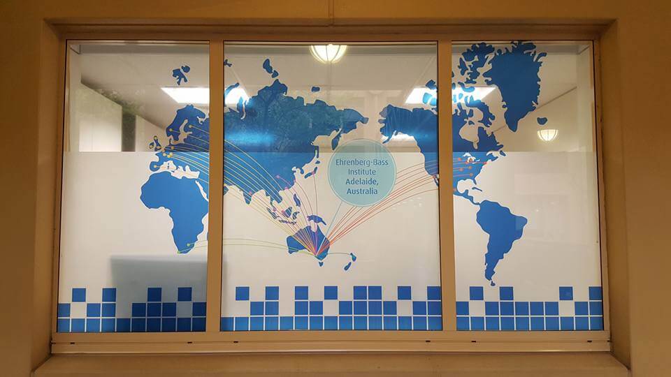 Uni SA Full Window Graphic